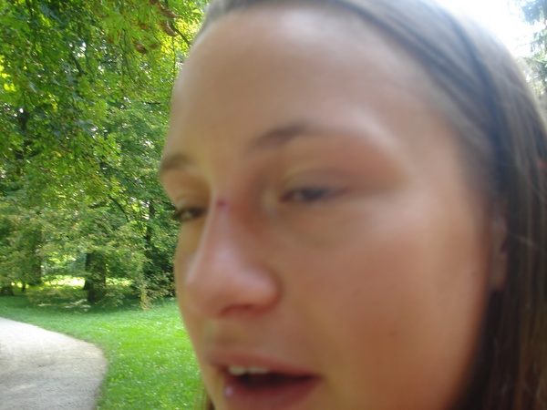 DSC00517.JPG